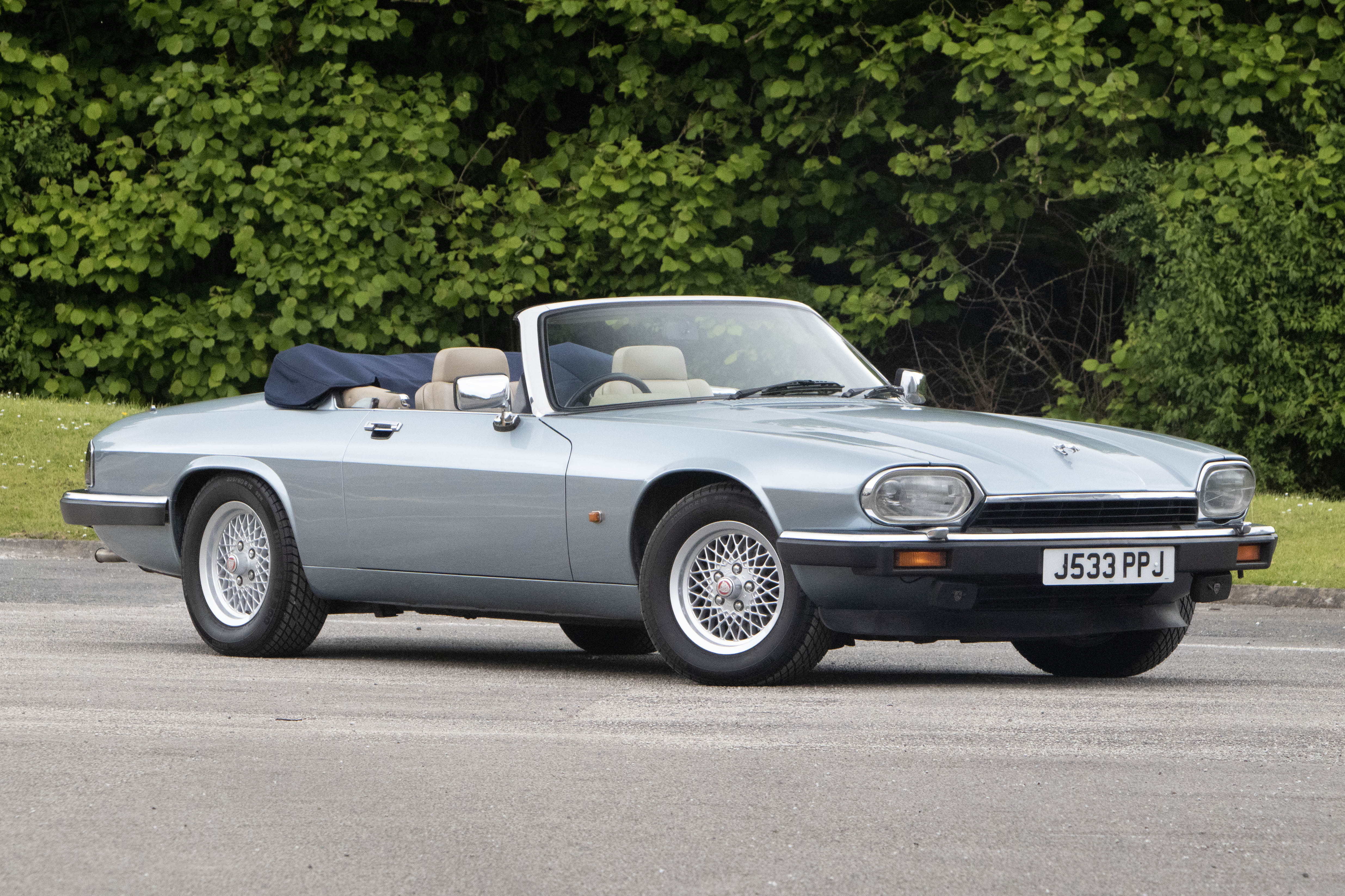 1337-12.jpg?v=63820437028340