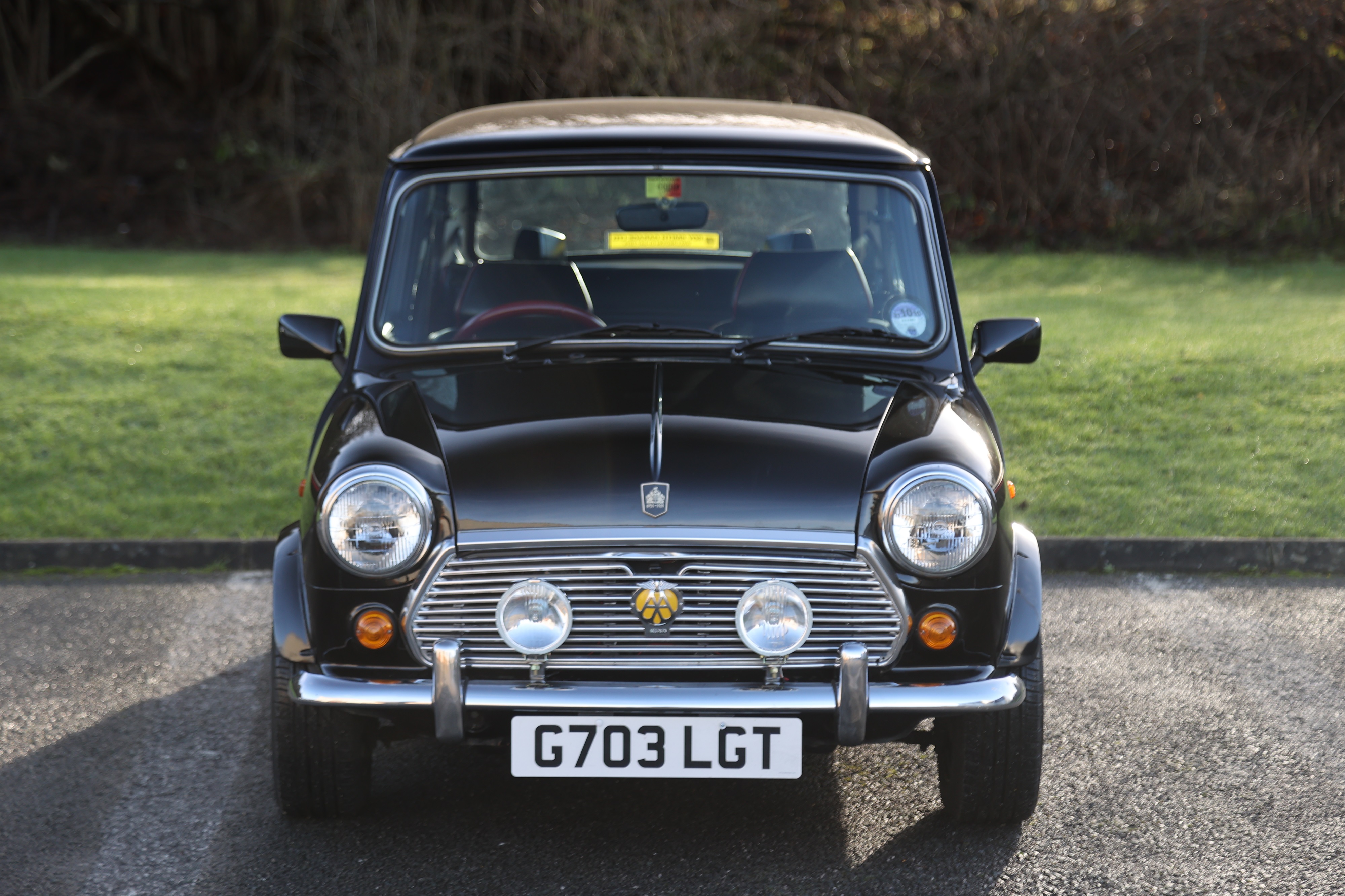 Lot 124 - 1989 Austin Mini Thirty