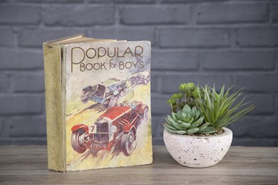 Lot 13 - Popular Book for Boys