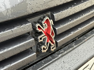 Lot 1987 Peugeot 205 GTi 1.9