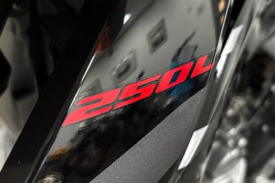Lot 2019 Honda CRF250L