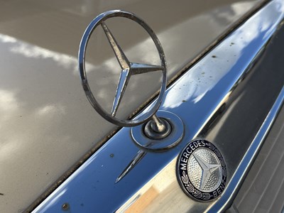Lot 259 - 1984 Mercedes-Benz 230 TE