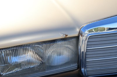 Lot 259 - 1984 Mercedes-Benz 230 TE