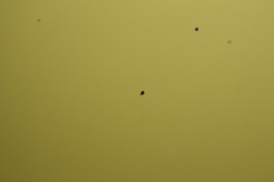 Lot 216 - 1996 Fiat Barchetta