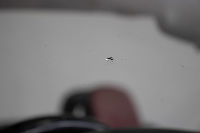 Lot 116 - 2005 Mazda MX-5 3rd Generation Limited Launch Edition