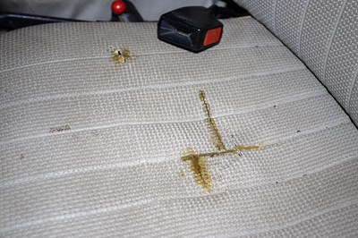 Lot 141 - 1966 Volkswagen Beetle