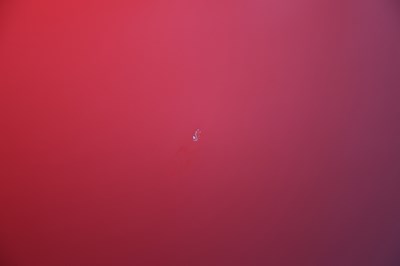 Lot 14 - 1995 Porsche 911 (993) Carrera 2 Cabriolet