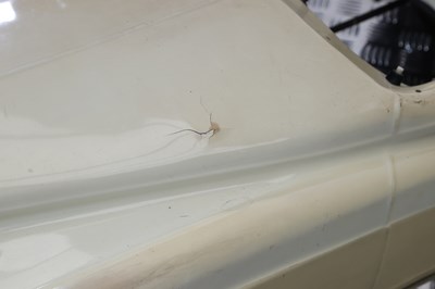 Lot 243 - Tri-ang Rolls Royce